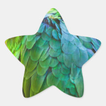 Green Parrot Stickers
