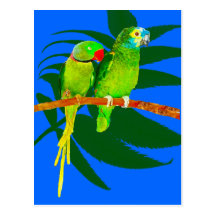 Green Parrots on Blue Post Cards