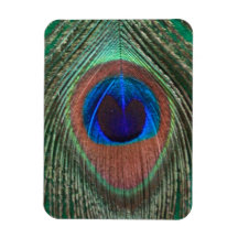 Green Peacock Feather Flexible Magnet