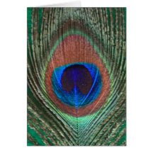 Green Peacock Feather Greeting Card