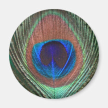 Green Peacock Feather Magnet