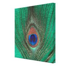 Green Peacock Feather Wrapped Canvas Gallery Wrapped Canvas
