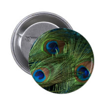 Green Peacock Feathers Buttons