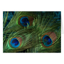 Green Peacock Feathers Greeting Cards