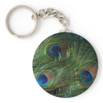 Green Peacock Feathers