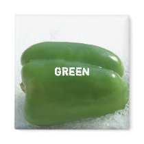 Green pepper magnet