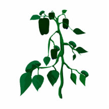 Green peppers on green plant graphic photo cutouts