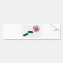 green pharmacy - herbal medicine bumper stickers