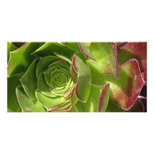 Green Photo Greeting Card