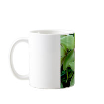 Green & Pink Cymbidium Orchid Mug