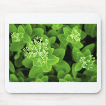 Green plant extravaganza mouse pad