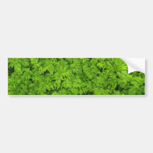 Green Plants Fern Foliage Texture Background Bumper Sticker