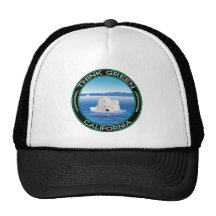 Green Polar California Mesh Hats