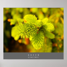 Green Poster