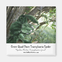 Green Quad Stare Transylvania Spider Magnet