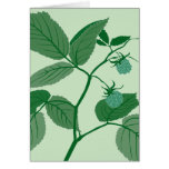 green raspberry greeting card
