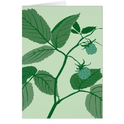 green raspberry greeting card by MichelineKanzy