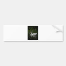 Green Reflections Bumper Stickers