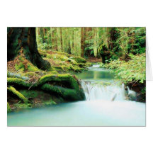 Green River Falls Cards