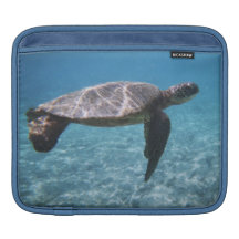 Green Sea Turtle iPad Sleeve