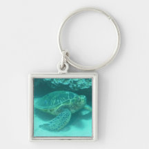 Green Sea Turtle Keychain