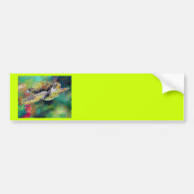 Green Sea Turtle Silk Painting Bumper Stickers