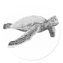 Green Sea Turtle Sticker