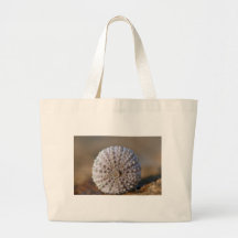 Green sea urchin shell bag