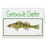 Green Sided Darter card