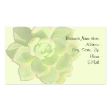 Green Succulent Ivory Business Card Templates