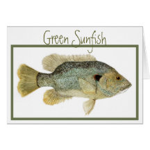 Green Sunfish card