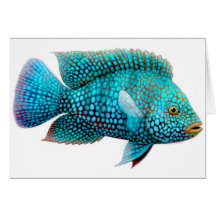 Green Texas Cichlid Greeting Card