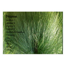 Green Theme Business Card Templates