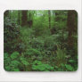 Green Timbers Spring 1c Mousepads