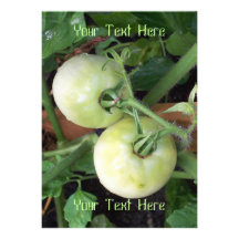 Green Tomatoes Custom Invites