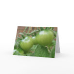 Green Tomatoes Greeting Card