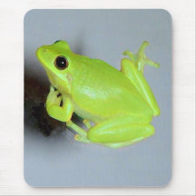 Green Tree Frog Image Mousepads