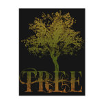 Green Tree Postcard