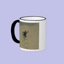 Green Turtle, (Chelonia mydas), hatchling mugs