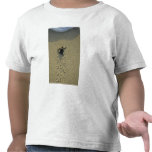 Green Turtle, (Chelonia mydas), hatchling Shirts
