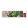 Green Vegetable Bug Bumper Sticker
