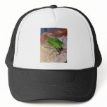 Green Vegetable Bug Mesh Hats