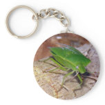 Green Vegetable Bug Key Chains