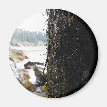 Green View Refrigerator Magnets