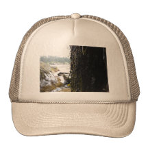 Green View Trucker Hat