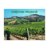 green vineyard photograph postcards
