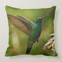 Green Violet-ears Hummingbird Throw Pillow