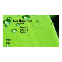 Green Watery Business Card