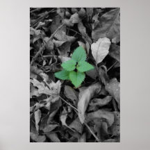 Green weed black and white poster