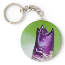 green welcomes purple keychains